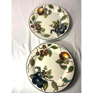 Pier 1 Macintosh Earthenware 2 Dinner Plates Fruit Pattern Collectible